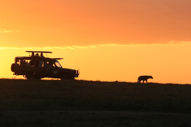 2 Days 1 Night Safari in Mikumi National Park (Train Safari)
