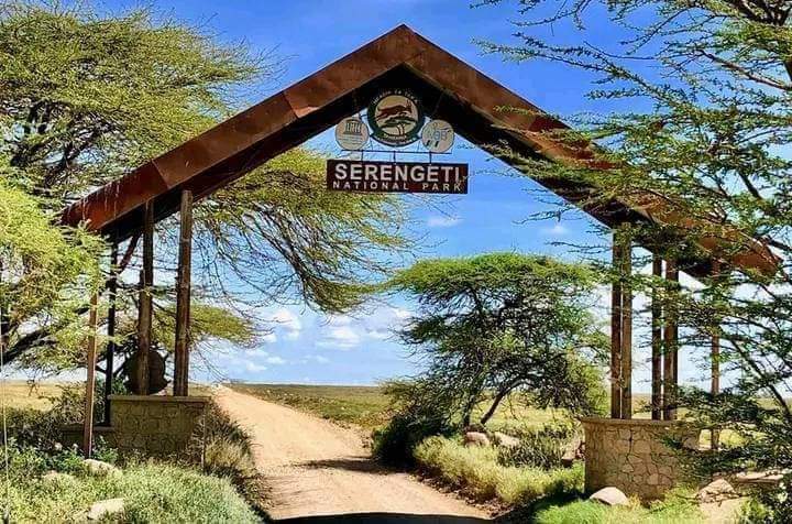 Serengeti National Park - double g safaris destinations